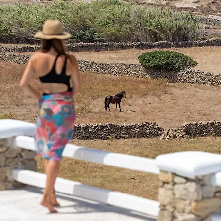 Surfland * Ftelia (Mykonos)