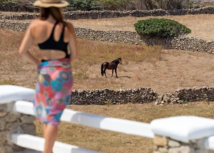 Surfland * Ftelia (Mykonos)